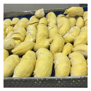 Trozos de Durian congelado de Vietnam-Repleto de dulzura natural-Estable y versátil por 99 DATOS DE ORO - Product Image 3