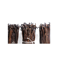 Meilleur produit Les gousses de vanille Planifolia de grade 3 connues pour leur arôme et leur saveur riches sont parfaites pour l'extraction