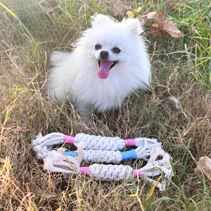 Jouet pour chien en corde macramé Rainbow Candy, style simple - Product Image 4