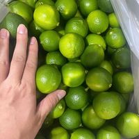 Vietnam Verse Citroenen Zonder Pit Groene Citrus Rijpe Export Hoge Kwaliteit 12 Maanden Houdbaarheid Maat 6cm 0,1kg Bulkbestelling Mogelijk