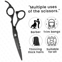 Ciseaux de coiffeur noirs ciseaux de coiffure professionnels de 6 pouces tondeuses à cheveux en acier inoxydable ciseaux de coiffeur pour Salon