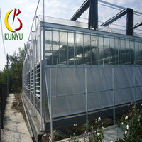 Commerciële multi-span PC-plaat kas Venlo-type landbouwkas met hydrocultuursysteem voor groenteteelt