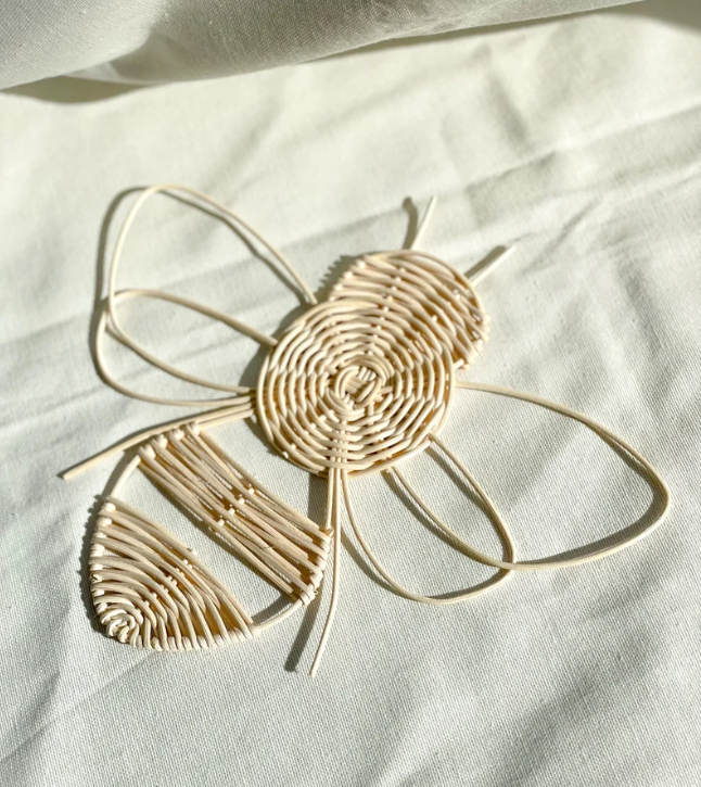 La couleur du client