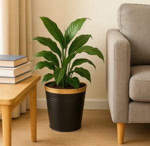 Estas jardineras de metal de cubo negro son ideales para su espacio interior y exterior - Product Image 1