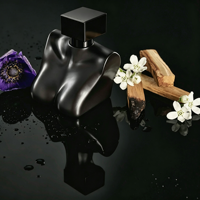 Parfum en spray unisexe de luxe oriental boisé pour occasions spéciales en gros