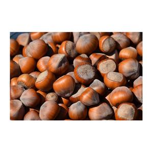 Noisettes brutes / Noisettes biologiques de qualité supérieure / Noisettes à vendre en Belgique - Product Image 1