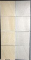 Carreaux de porcelaine pleine masse Sunny Modern 60x60 pour extérieur, antidérapants, aspect pierre, texture antibactérienne, finition mate, 20 mm