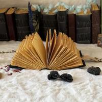 Mini carnet en cuir - Cadeau écologique pour les amoureux - Thème de l'art gothique et de la sorcellerie fantastique