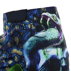 2025 ropa deportiva ligera Unisex transpirable Dragon MMA pantalones cortos para boxeo y otras artes marciales OEM Impresión de logotipo personalizado - Product Image 4