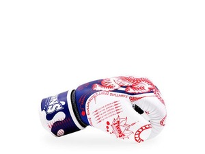 Twins Customizable Full Silk Screen Printed Professional Boxing Gloves Hook & Loop Closure for Wrist Support Muay Thai Training - Product Image 3