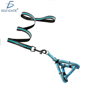 Elegante Set Pettorina e Guinzaglio per Animali Domestici in Nylon Confortevole per Addestramento e Passeggiate di Lusso, Traspirante, Taglia XL, Fantasia a Righe Solida - Product Image 1