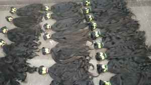 Extensions de cheveux indiens haute densité confortable respirant ajustement parfait faisceaux dessinés simples pleine longueur extrémité saine cheveux vierges - Product Image 6