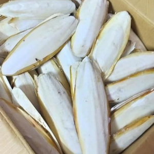 HUESO DE SEPPIA PICADO ALTO EN CALCIO - Product Image 5