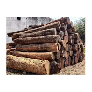 Natural Premium Grade Hard Beech <b>Wood</b> <b>Logs</b> Planks Austria Origin 5+ Year Warranty High Quality for Export Competitive Pricing - Product Image 6