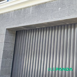 Meilleure vente Portes <span class=keywords><strong>de</strong></span> <span class=keywords><strong>garage</strong></span> électriques automatiques personnalisées pour villa - Product Image 5