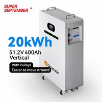 Système de stockage d'énergie domestique LiFePO4 51,2 V 314 Ah 15 kWh avec BMS intelligent, montage mural, 6000 cycles, pour la sauvegarde de toute la maison