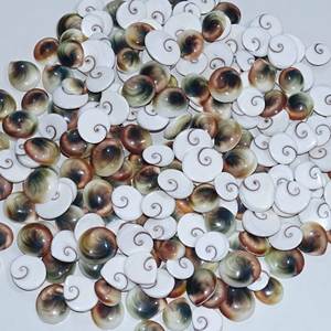 Shiva ธรรมชาติตาอัญมณีหลวมผสมรูปร่างและขนาด shiva ตา Cabochon หลวมอัญมณีจำนวนมากทำเครื่องประดับ - Product Image 5