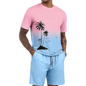 2025 été nouveaux hommes décontracté Shorts ensembles Wsahed couleur à manches courtes t-shirt Shorts solide survêtement ensemble hommes 2 pièces ensembles - Product Image 1