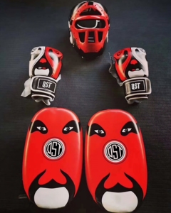 Ensemble de boxe personnalisé, dernier design, fabricants d'usine, logo personnalisé, taille, gants de boxe, sac de boxe - Product Image 5