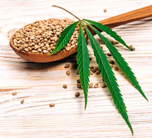 Graines de chanvre Ingrédient à base de graines végétales pour la transformation alimentaire B2B et la fabrication industrielle - Product Image 6