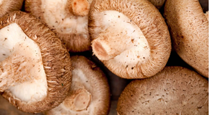 Champignon séché-Champignon Shiiitake séché VIETNAM Fournisseur-Bon prix Produit de haute qualité de 2023/ DC - Product Image 2