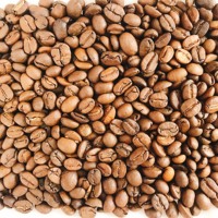 Grains de café Arabica torréfiés pour l'exportation au prix de gros du Vietnam