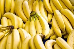 Banane Cavendish biologique de qualité supérieure, fraîche - Product Image 2