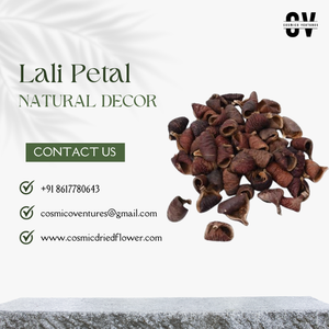 กลีบดอกลาบาเลียธรรมชาติสำหรับบุหงางานรับปริญญาวันฮาโลวีนงานรับปริญญา - Product Image 3