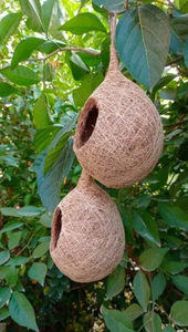 ทางเลือกที่ดีที่สุดสำหรับสัตว์เลี้ยงของคุณบ้านนกมะพร้าว100% จากกะลามะพร้าว - Product Image 6