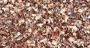 2025แกลบเม็ดมะม่วงหิมพานต์สำหรับสัตว์ขยะทางการเกษตรในตลาด - Product Image 2