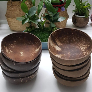 ชามเปลือกมะพร้าวธรรมชาติขายดี ขัดเงาอย่างดี สไตล์ชนบท เป็นมิตรกับสิ่งแวดล้อม ขายส่ง พร้อมช้อนสลักโลโก้ - Product Image 6