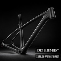 Cadre de VTT en fibre de carbone 1,2 kg 29er Hardtail avec passage interne des câbles, axe traversant, logo OEM personnalisé, fourniture directe usine