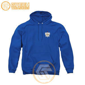 Sigma Gamma Rho personnalisé sweat à capuche brodé en molleton de coton sororité pull de haute qualité vêtements grecs sweats à capuche pour femmes - Product Image 2