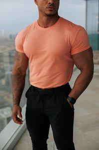 Nuevo diseño Stock camiseta melocotón bambú cuello redondo gimnasio hombres camiseta algodón transpirable Tonal bordado personalizado Logo camiseta para hombres - Product Image 6