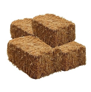 Balles rondes italiennes hachées de la plus haute qualité paille de bétail volaille animale alimentation blé alimentation production d'aliments pour animaux - Product Image 4