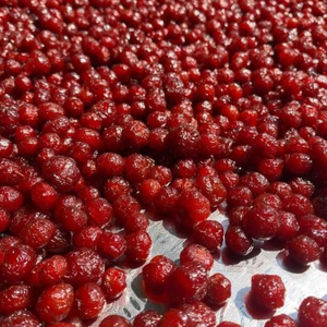 TAMARIN SÉCHÉ-DES PRODUITS DE HAUTE QUALITÉ, NATURELS ET DÉLICIEUX POUR CHAQUE MÉNAGE - Product Image 3