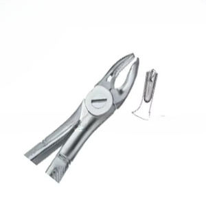 คีมถอนฟัน Fig.39เครื่องมือทางทันตกรรมทำจากสเตนเลสคุณภาพสูงโลโก้ตามสั่ง - Product Image 6