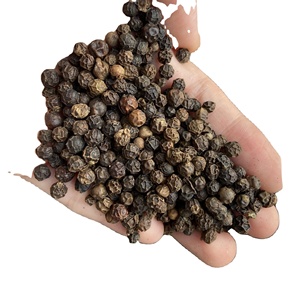 POIVRE NOIR SÉCHÉ EN GROS PROCÉSSEURÉ DANS LE SUCRE (AD) 550GL BRUT PROPRE ASTA VILACONIC BP1 POUR L'EXPORTATION 24 MOIS - Product Image 2