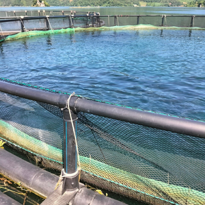 Offre Spéciale HDPE flottant rond cage à poisson Vietnam fabricant aquaculture filet élevage et piège 15-20M diamètre MAVINEX marque - Product Image 2