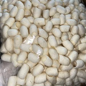 Capullo de seda de corte ecológico para gusano de seda Skicare para cosméticos - Product Image 1