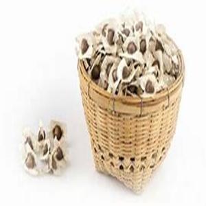 Oleifera de graines de moringa biologiques de la meilleure qualité pour des bienfaits médicinaux et pour la santé. Utilisations industrielles et cosmétiques directement de la ferme - Product Image 5