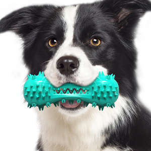 Eco-Friendly TPR Modern <b>Dog</b> Dental Health Chewing Toys-<b>Toothbrush</b> Vocal Dumbbells Molar Rods Explosive Models - Product Image 1