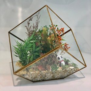 GET0408GD - Grand terrarium géométrique en verre en forme de cube incliné doré - 12 - Product Image 4