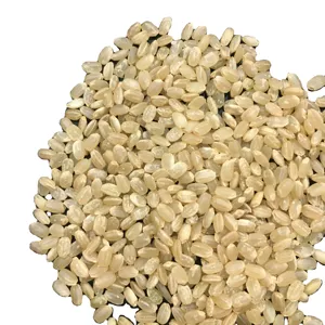 Japonica round brown rice new crop from VIet Nam - WA84972678053