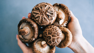 NOUVELLE RÉCOLTE Champignons Shiitake séchés du Delta du Vietnam |   Fournisseur d'exportation en gros - Product Image 3
