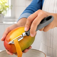 RVS draaibare schilmes met recht mes, groente- en fruitschiller, ergonomische handgreep, keuken gadget, groothandel levering