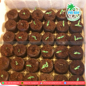 TOP PRODUCT Premium Perfect Quality Coco Peat Blocks 5kg from Vietnam for Horticultural Success - Product Image 5
