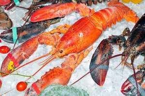 Queue de homard entière congelée de qualité supérieure AA, avec procédé de congélation BQF, à vendre - Product Image 6