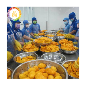 มะม่วงแช่แข็งคุณภาพสูงสำหรับเครื่องดื่มขนมหวานและสมูทตี้จากเวียดนาม - Product Image 5