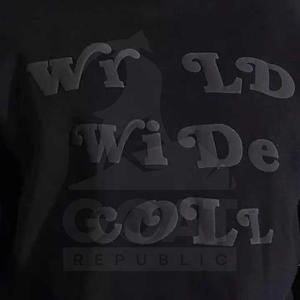 Vente en gros OEM 2025 Nouveau design Logo personnalisé Impression en relief 100% coton Pull à capuche lourd d'hiver pour hommes Haute qualité - Product Image 3